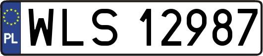 WLS12987