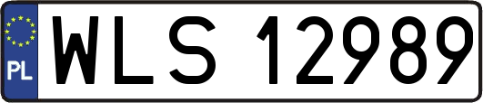WLS12989