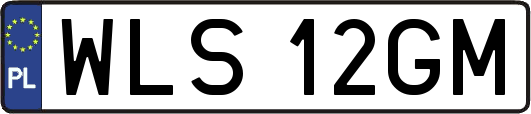 WLS12GM