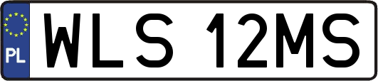 WLS12MS
