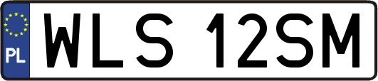 WLS12SM