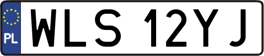 WLS12YJ
