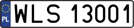 WLS13001