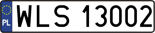 WLS13002