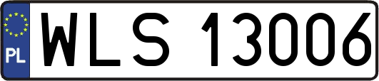 WLS13006