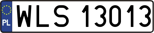 WLS13013