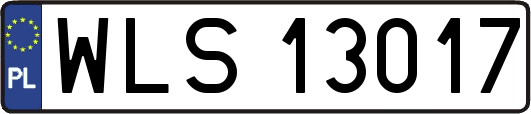 WLS13017