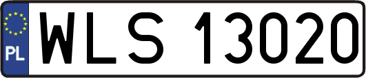 WLS13020