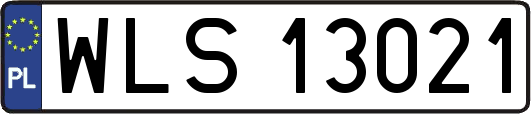 WLS13021