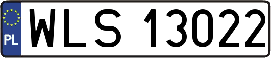 WLS13022