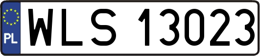 WLS13023