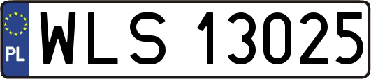 WLS13025