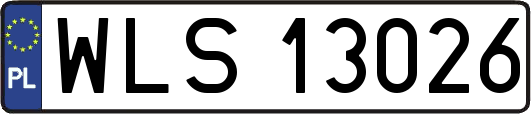 WLS13026