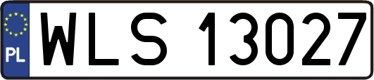 WLS13027