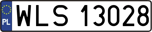 WLS13028