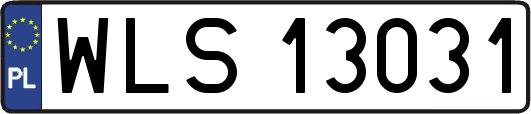 WLS13031