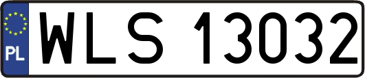WLS13032