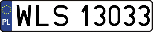 WLS13033