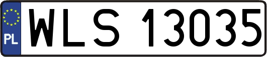 WLS13035