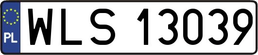 WLS13039