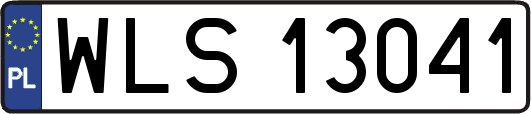 WLS13041