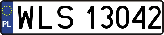WLS13042