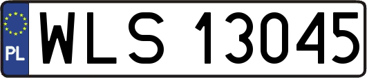 WLS13045