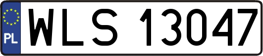 WLS13047