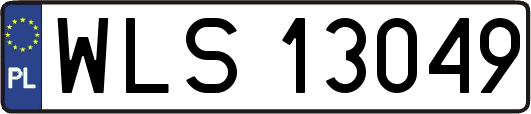 WLS13049