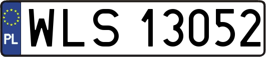WLS13052