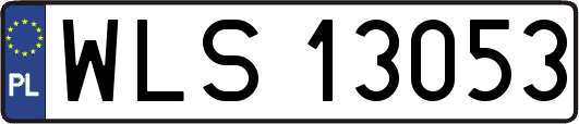 WLS13053