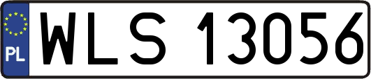 WLS13056