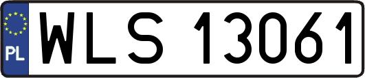 WLS13061