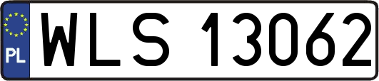 WLS13062