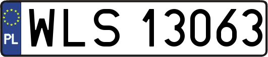 WLS13063