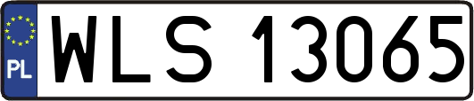 WLS13065