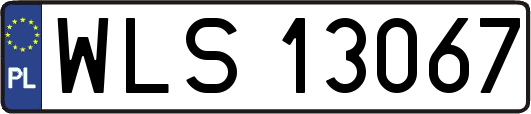 WLS13067
