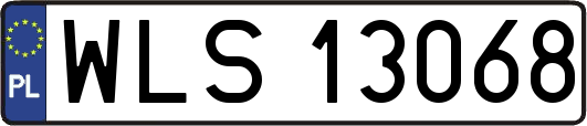 WLS13068