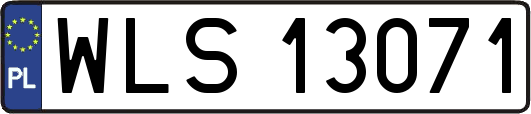 WLS13071