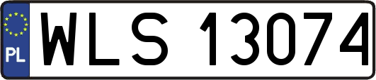 WLS13074