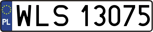 WLS13075
