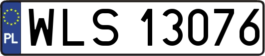 WLS13076