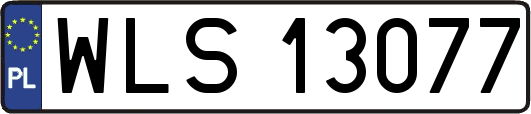 WLS13077