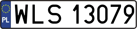 WLS13079