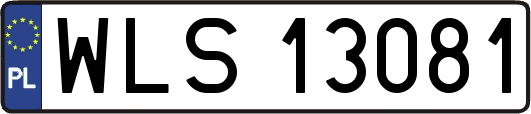 WLS13081