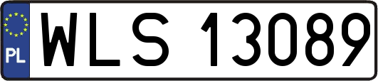 WLS13089