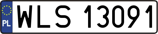 WLS13091