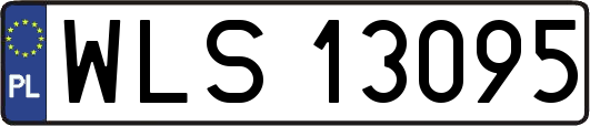 WLS13095
