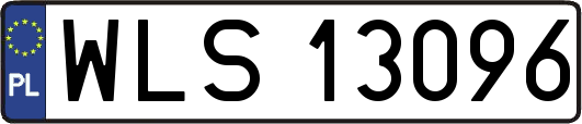 WLS13096