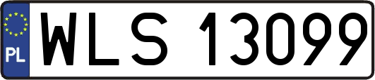 WLS13099